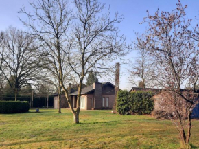 Holiay home in Merksplas with terrace